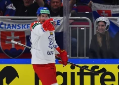 Pasaules čempionāta ceturtais vecākais spēlētājs, Čehijas izlases kapteinis Romāns Červenka savu vienīgo sezonu NHL aizvadīja pirms desmit gadiem Kalgari, taču joprojām ir savas komandas spožākā zvaigzne un pēdējā pasaules čempionāta rezultatīvākais spēlētājs. 