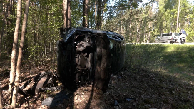 Женщина ехала со стороны Юглской бумажной фабрики и буквально влетела в лес.