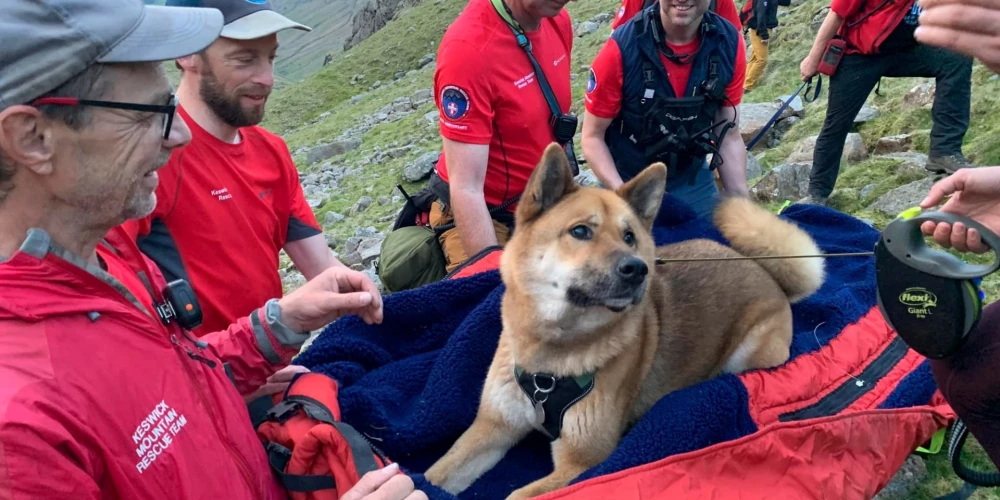 Izglābts pārguris suns, kas uzkāpis Anglijas augstākajā virsotnē