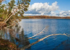 Latvijā varētu būt 76 jauni dabas liegumi