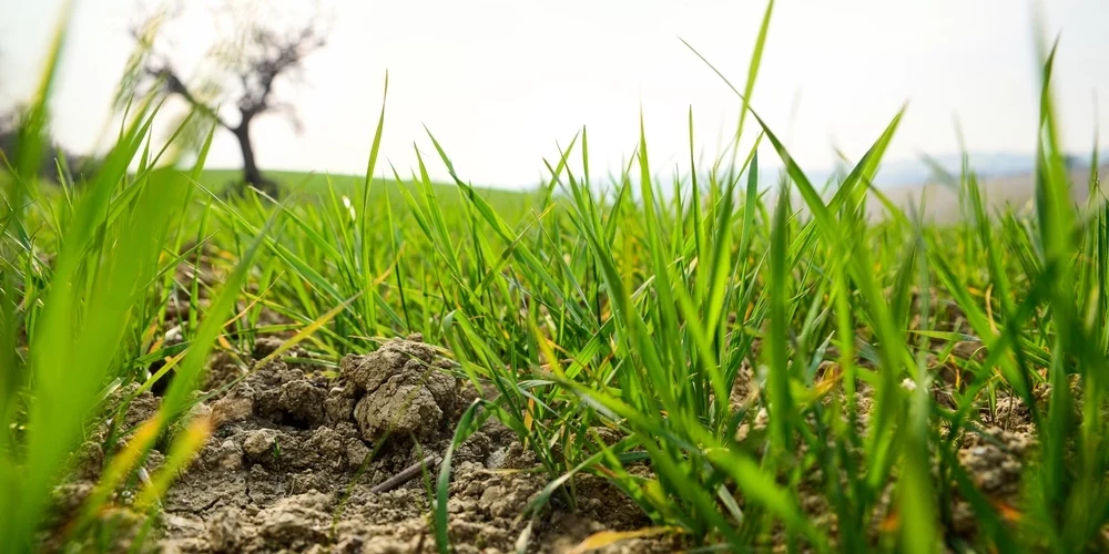 Иллюстративное фото