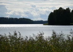 В машине перевозились граждане Сирии, водителем был гражданин Молдовы. (Фото: LETA)