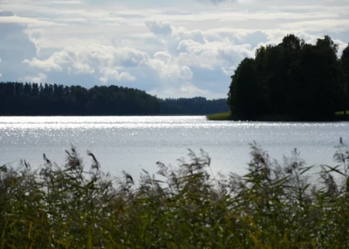   В Литве в водоем упала машина с нелегалами: два человека погибли и пятеро пострадали