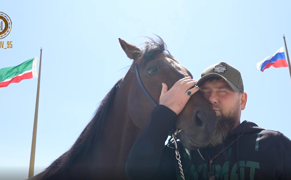 Ne jēgas, ne loģikas – internetu dzen strupceļā stāsts par Kadirovu, ukraiņiem un viņa mīļāko zirgu Zazu