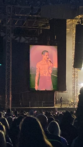 Дамиано Давид