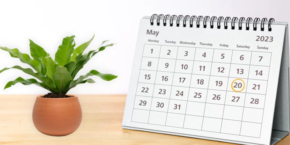 20 мая 2023 года