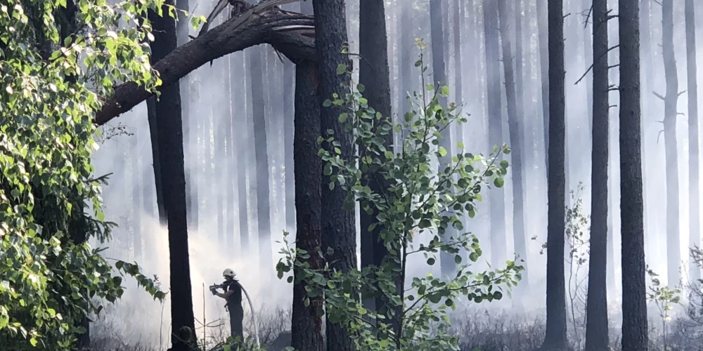 Лесной пожар вспыхнул в Олайнской волости: площадь возгорания достигла 3,5 га