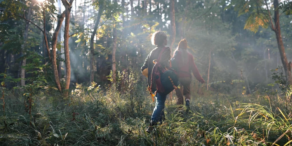 Больше шагов - больше деревьев для более зеленой Латвии! 
