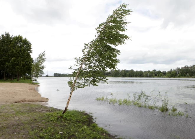 Piektdiena būs vējaina un kļūs vēsāks 