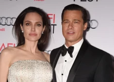   "Она отрезала себя от людей": Анджелину Джоли тяжело травмировал развод с Брэдом Питтом