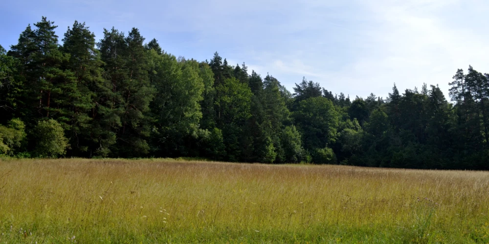 Интерес инвесторов к приобретению таких активов не ослабевает.