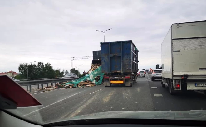 Krava, kas izbirusi no avarējušās automašīnas uz Dienvidu tilta braucamās daļas.