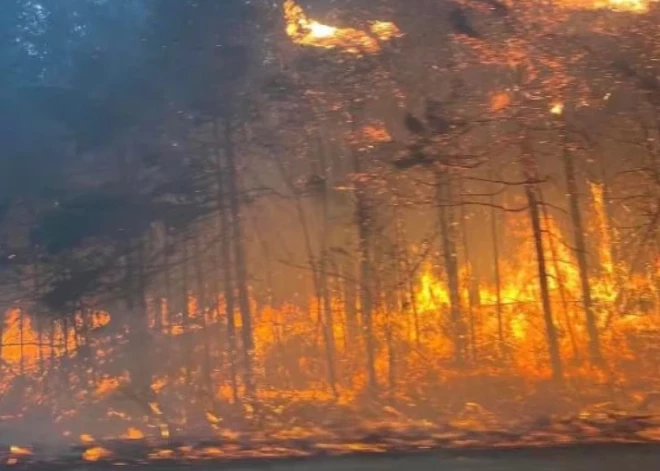 ВИДЕО: лесные пожары оставили тысячи жителей Канады без электричества