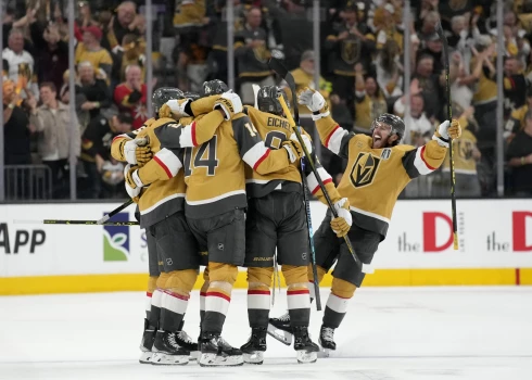 Vegasas "Golden Knights". 