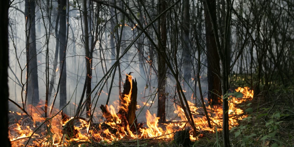 Krustpils pagastā sestdien degusi kūdra, pļava un mežs divu hektāru platībā