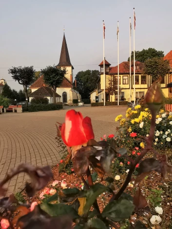 Brīvības laukums Tukumā šodien.