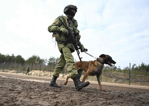 Иллюстративное фото