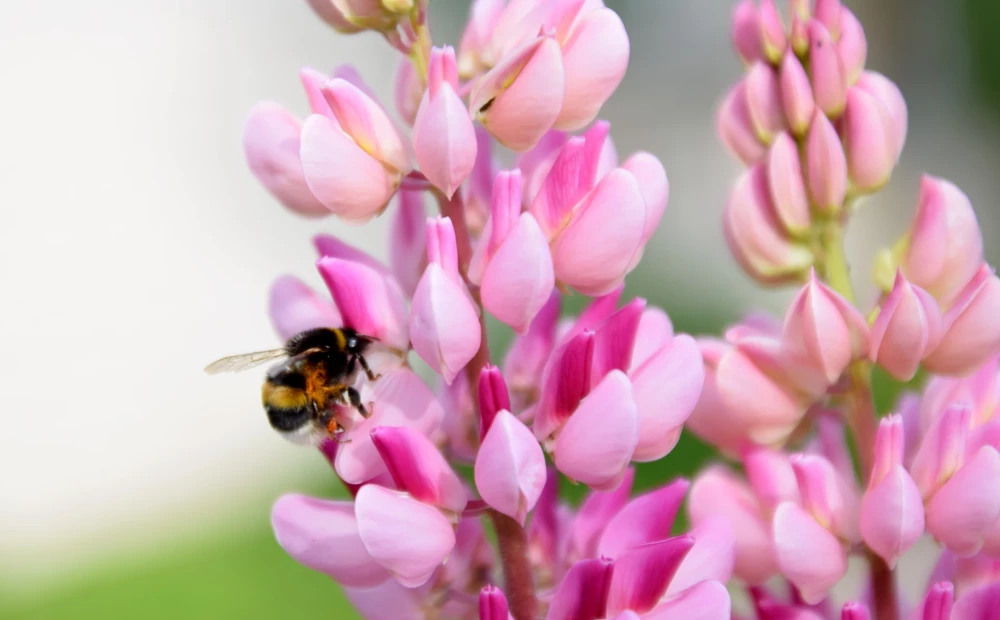 Сегодня воздух прогреется до +28 градусов