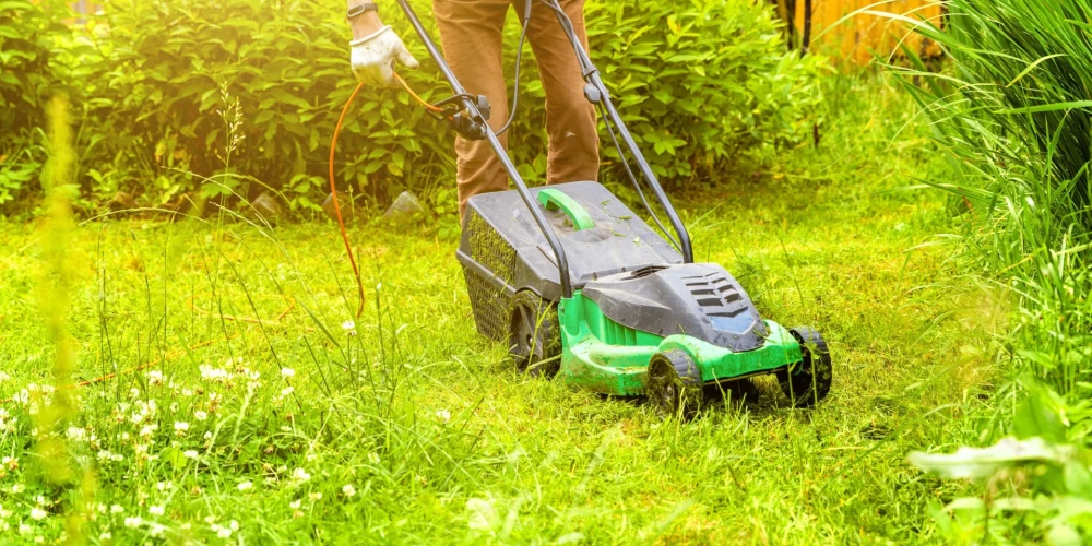 Как можно использовать траву после покоса газона: 5 полезных способов