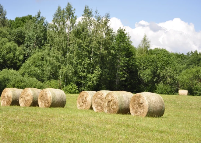 Svētdiena visā Latvijā gaidāma bez nokrišņiem