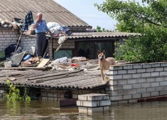 Kāds vietējais Hersonas apgabala iedzīvotājs ar suni uz savas applūdušās mājas jumta. 2023. gada 9. jūnijs.