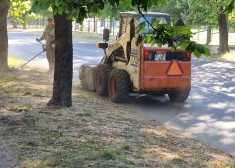 Коммунальный работник косит под ноль траву на улице Весетес в Риге. (Фото: Twitter.com / @auzaans)