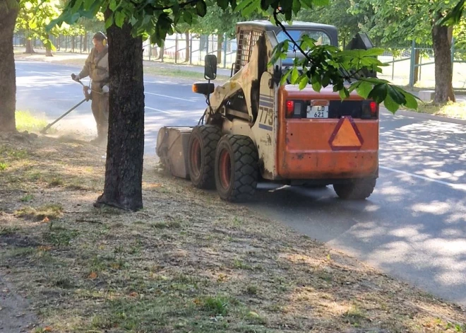 "Как можно косить то, чего нет?!": рижане возмущаются проводимыми в столице работами по уборке территорий