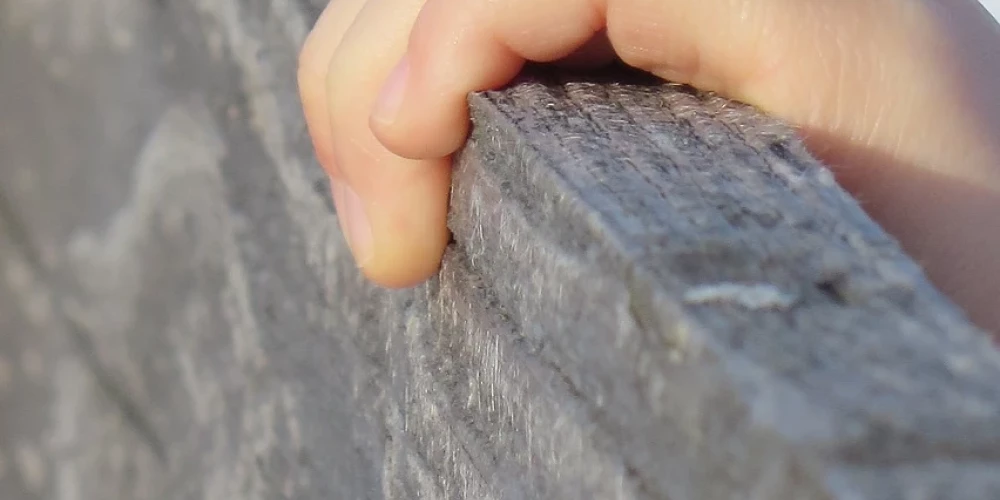 Иллюстративное фото (Фото: Pixabay.com)