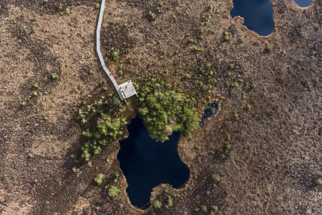 Аукштумальская природная тропа (Шилутский район) – пройти более километра по болоту возможно благодаря тому, что тропа проложена поверх старой каменной дороги ниже уровня воды, которая когда-то проходила через болота.