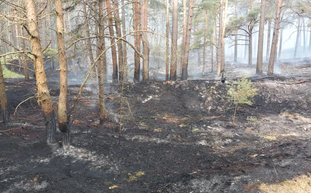 Netālu no Ventspils naftas bāzes izcēlušies vairāki meža ugunsgrēki