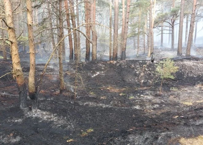 Netālu no Ventspils naftas bāzes izcēlušies vairāki meža ugunsgrēki