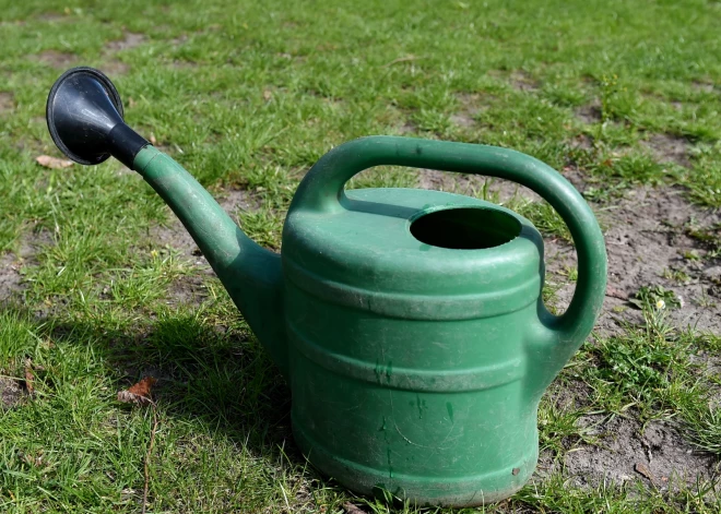 Rīgas pašvaldība aicina sausuma laikā nepļaut zāli un piedalīties koku laistīšanā