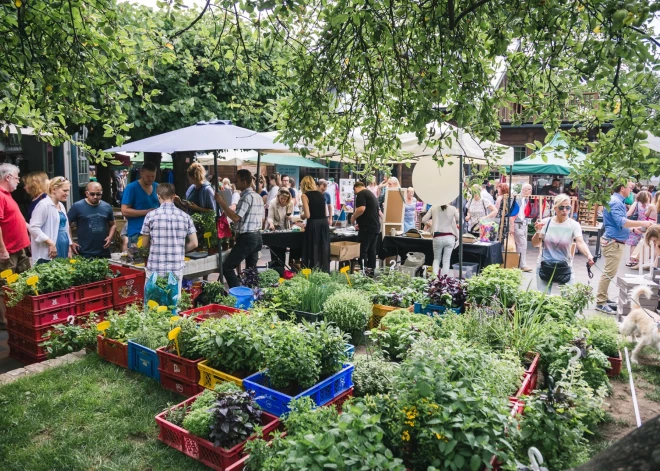 Jāņu tirgus un koncerts Kalnciema kvartālā
