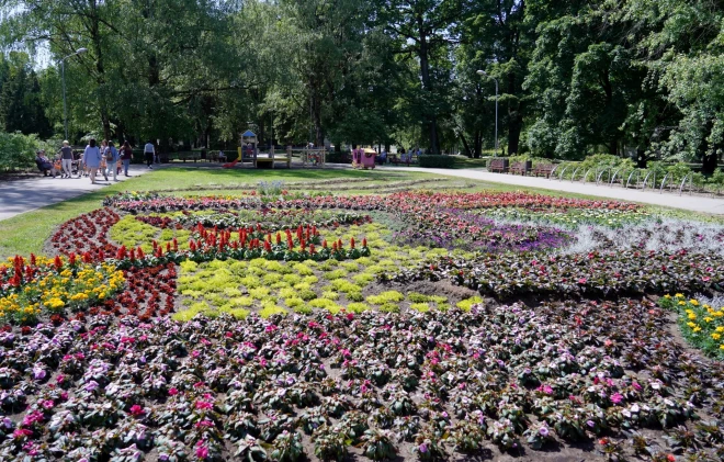 На клумбе высажено несколькой сортов летних растений и цветов. (Фото: LETA)