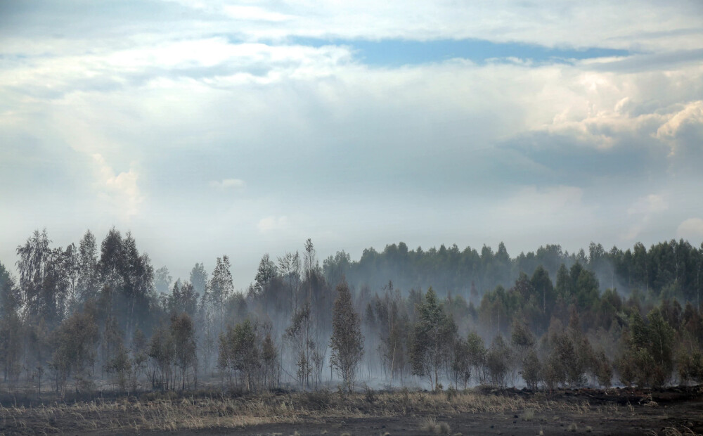 Piektdien Latvijā dzēsti 15 meža ugunsgrēki teju 21 hektāra platībā