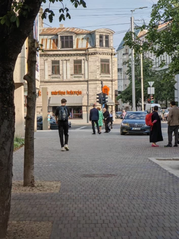 Miesassarga pavadībā vispirms no auto izkāpa pati eksprezidente. Tad šoferis pavēra durvis, izlaizdams arī viņas laulāto draugu Imantu.