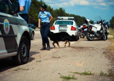 Сотрудники полиции во время рейда по контролю за дорожным движением