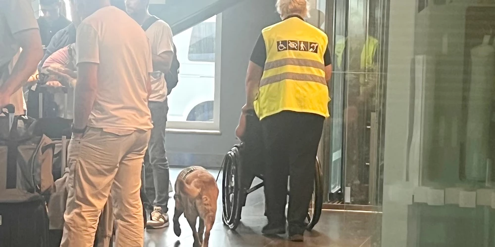 Cilvēki "šūmējas": lidostā sievietei ratiņkrēslā ar suni-pavadoni liedz iespēju lidot ar lidmašīnu
