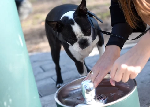 ФОТО: в парке Гризинькалс открыт кран с бесплатной питьевой водой