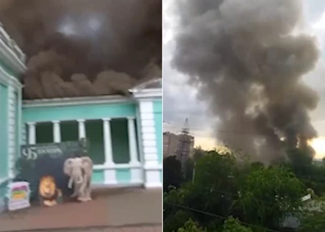 ВИДЕО: в зоопарке Ростова-на-Дону вспыхнул сильный пожар