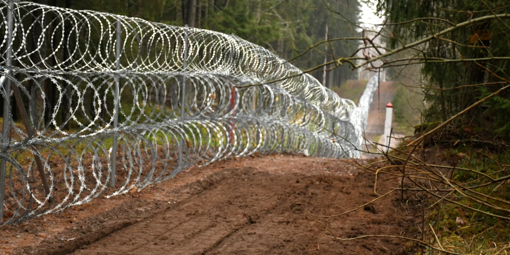 "Забор портят, даже вырезают какие-то его части": попасть в Латвию нелегалам помогают власти Беларуси