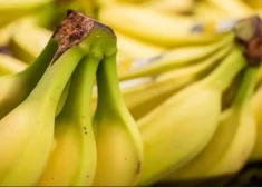 В Нидерландах в контейнерах с бананами обнаружили почти почти 3,6 тонны кокаина