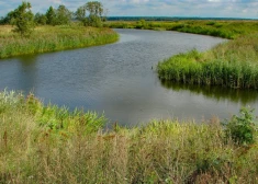 Dabas parkā “Svētes paliene” fiksēti daudzi sezonālā lieguma pārkāpumi