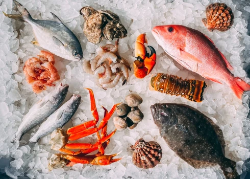 Вскоре человечество может лишиться 90% морепродуктов