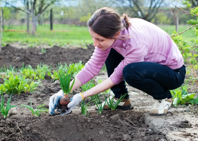 Gājiens cauri dārzam var mainīt dzīvi. Kā 30 gadus vecā Sandra no vesela cilvēka kļuva darba nespējīga