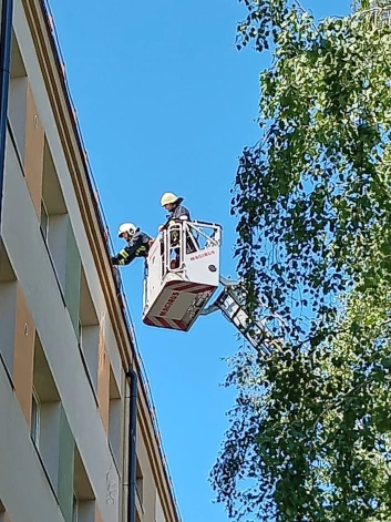 Liepājā pirmdien uz Klaipēdas ielu traucās ugunsdzēsēji, lai izvērstu autokāpnes uz izpestītu uz piecstāvu nama jumta iesprūdušu kaiju.