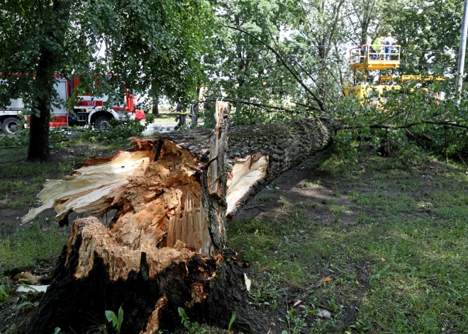 Pirmdien Latvijā gaidāmas postošas vēja brāzmas