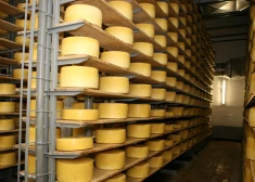 Kas noticis ar Limbažu piensaimnieku ražoto sieru, kuru slavēja pat Berluskoni?