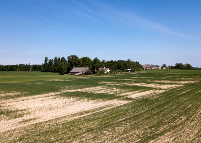 Второй квартал этого года в Латвии был самым засушливым в истории метеонаблюдений