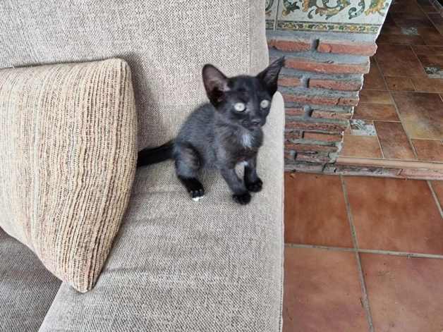 “Toma dēļ Jānis nevar tagad braukt uz Latviju," saka Linda.